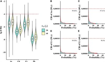 Heavy Metals and Probabilistic Risk Assessment via Pheretima (a Traditional Chinese Medicine) Consumption in China